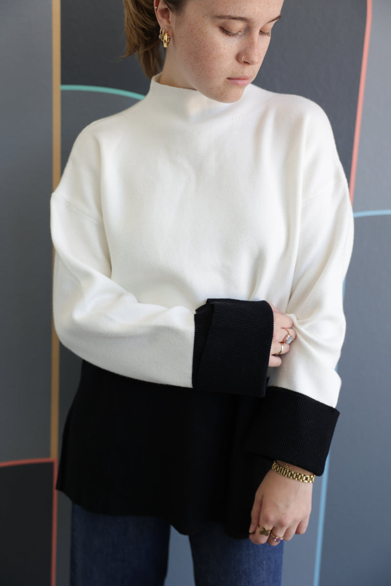 Centaurea Turtleneck Sweater